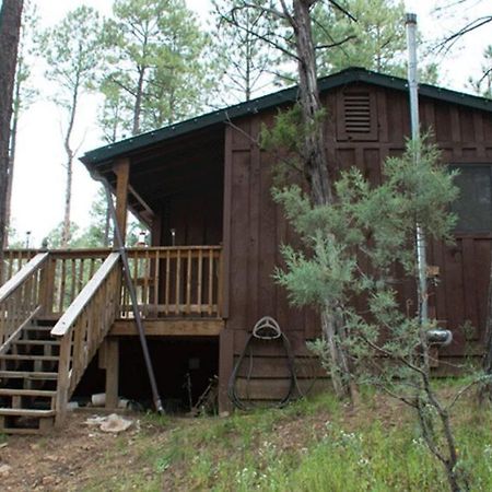 Beary Comfy Cabin Ruidoso Extérieur photo